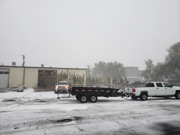 SuperTrees nursery in winter wind and snow