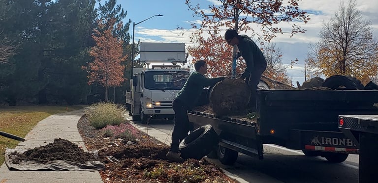 SuperTrees Colorado team preparing to plant fall trees
