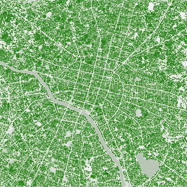 A GIS image of a city and all of its trees