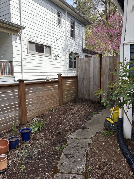 Site preparation for tree planting