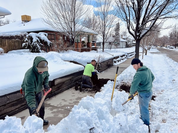 SuperTrees team planting trees
