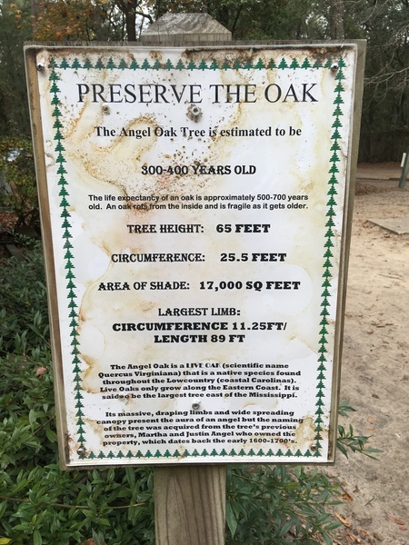 Angel Oak Tree Preservation Plaque