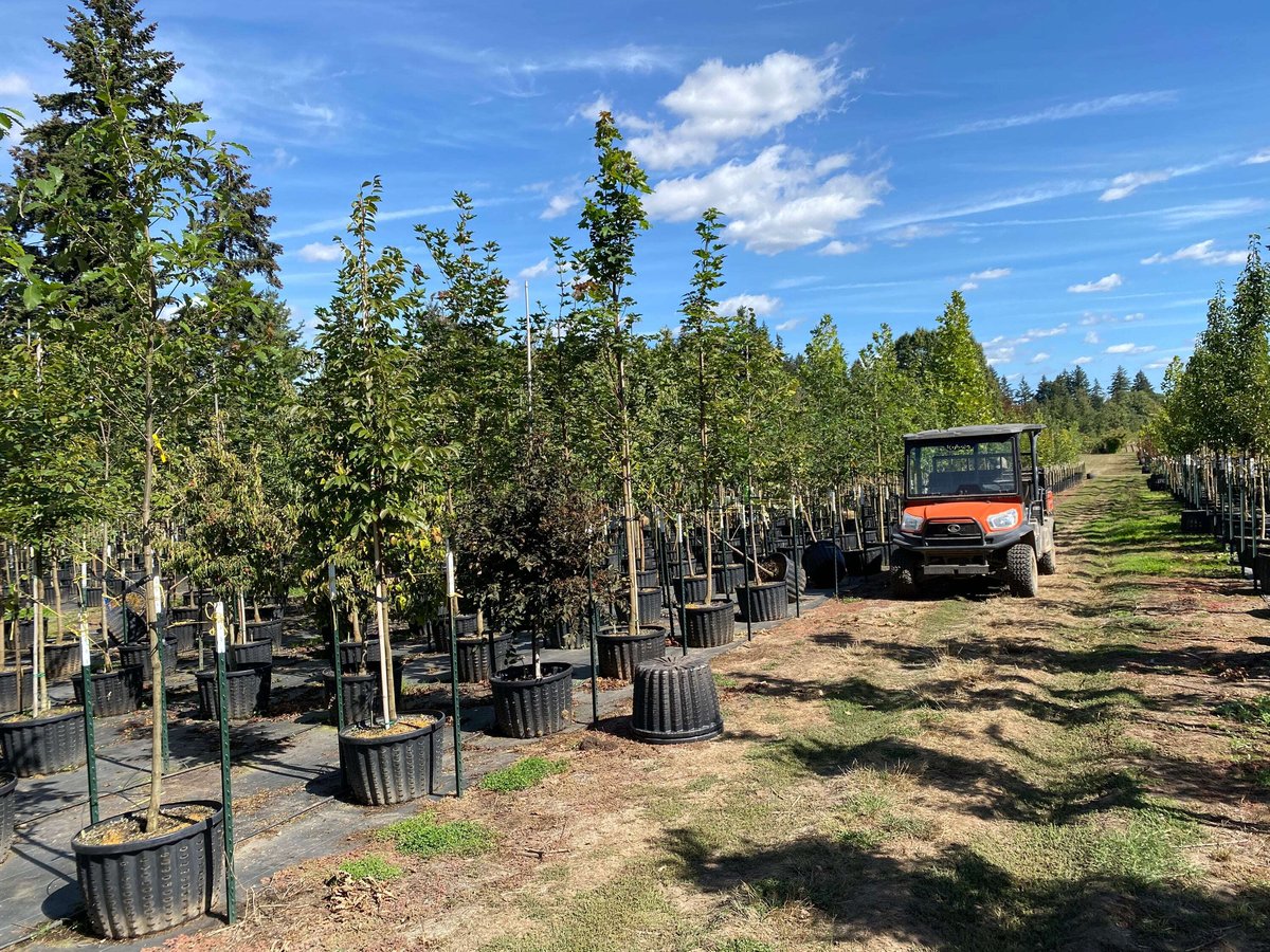 4-wheeler next to trees growing in air pots at SuperTrees nursery