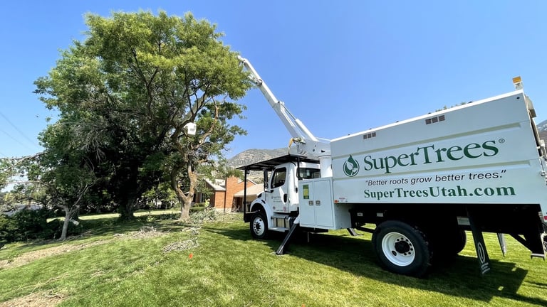 SuperTrees Utah truck with bucket raised for tree trimming