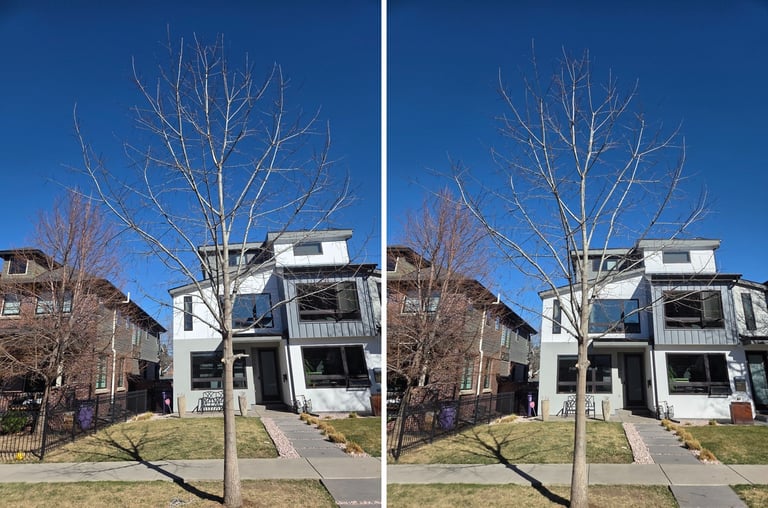 Oak_1_Before_and_After