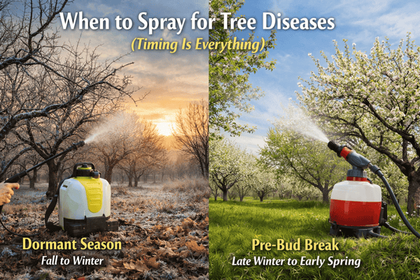 Tree disease spraying_ dormant to spring (1)