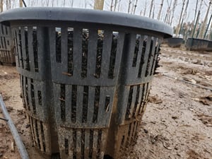 air pot for air pruning