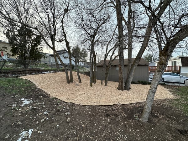 Example of microclimate where site conditions impact the overall climate from wind and soil conditions to light and more