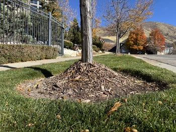 mulch volcano