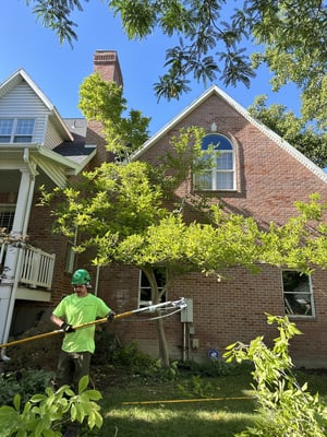 Tree care involves tree trimming at Colorado HOA