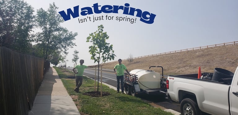 SuperTrees team - watering isn't just for spring